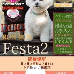 ドッグらんらんフェスタ❷開催