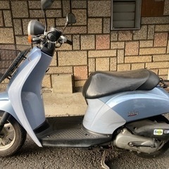 HONDA トゥデイf61 不動車