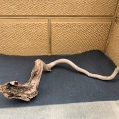 天然流木　アクアリウム　800→640円