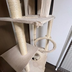 【商談中】キャットタワー(突っ張り棒)の画像