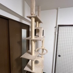 【商談中】キャットタワー(突っ張り棒)の画像