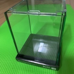 フレームレス水槽