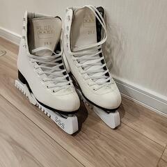 フィギュアスケート25.0の画像