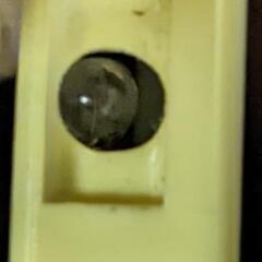 サーキュレーター用リモコンの画像