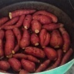 薩摩・さつまいも🍠の画像