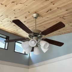 【引渡し予定】ほぼ新品 照明付きシーリングファン DAIKOの画像