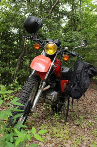 XL250s 