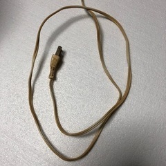 フラワーランプ　照明の画像