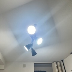 シーリングライト　天然木