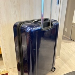 (譲り先決定)スーツケース DELSEY デルセー  大容量 117+29Lの画像
