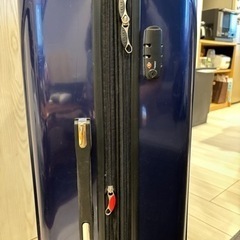 (譲り先決定)スーツケース DELSEY デルセー  大容量 117+29Lの画像
