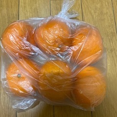 オレンジ