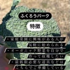 家庭菜園体験農園の画像
