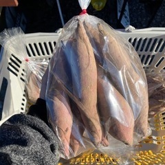 さつまいも