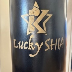 あげます！【Lucky SHIA】 サンドバッグ 自宅用 自立型 自宅 スタンド 大人子供用 吸盤付き ボクシングの画像