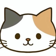 シェルターの保護猫たちにあたたかいご支援をお願い致します🙇‍♀️✨