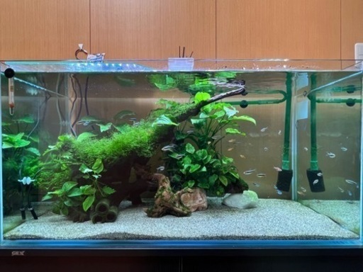 フレームレス水槽セット