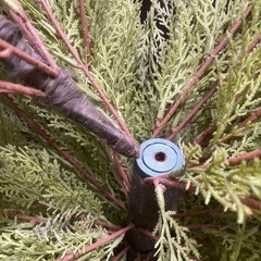 ⭐︎無料☆人工観葉植物　フェイクグリーン　全長180cm ②の画像