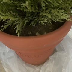 ⭐︎無料☆人工観葉植物　フェイクグリーン　全長180cm ②の画像