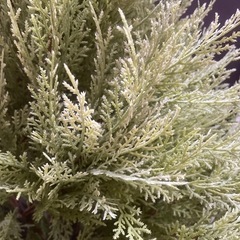 ⭐︎無料☆人工観葉植物　フェイクグリーン　全長180cm ②の画像