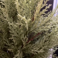 ⭐︎無料☆人工観葉植物　フェイクグリーン　全長180cm ②の画像