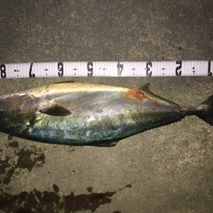 釣り行きませんか？ - 中新川郡