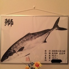 釣り行きませんか？ - スポーツ