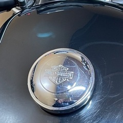 【３月24日まで】ハーレーダビットソン XL883R 2009年式の画像