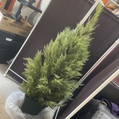 ⭐︎無料⭐︎人工観葉植物　フェイクグリーン　全長180cm ④