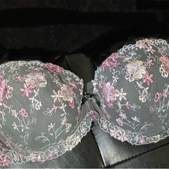 トリンプ 下着