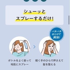 半額以下！メリット ドライシャンプー4本(3,520円相当)の画像