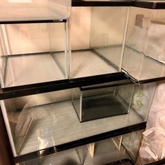 30〜90センチ水槽！熱帯魚、金魚、メダカ、水槽！