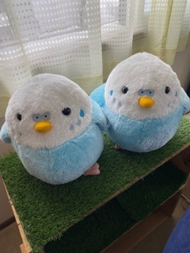 インコ　ぬいぐるみ２つセット