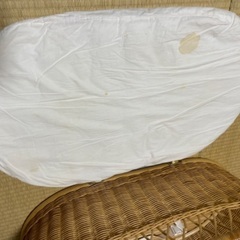 マット確認用写真です。の画像