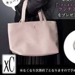 非売品 XC クロスシー ランチトートバッグ 新品未使用の画像