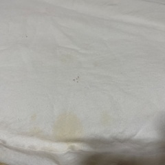 マット確認用写真です。の画像