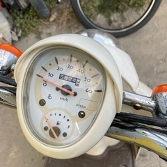 かわいい❗️セル始動⭐️ホンダ クレアスクーピー⭐️バッテリー新品❗️原付　スクーター　50cc ビーノ　ジョルノの画像
