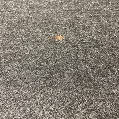 【お譲りします 】ホットカーペット 1.5畳 本体のみ 無印良品の画像