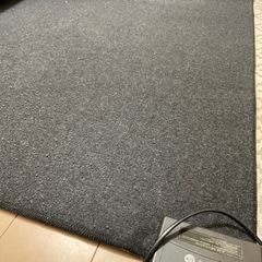 【お譲りします 】ホットカーペット 1.5畳 本体のみ 無印良品の画像