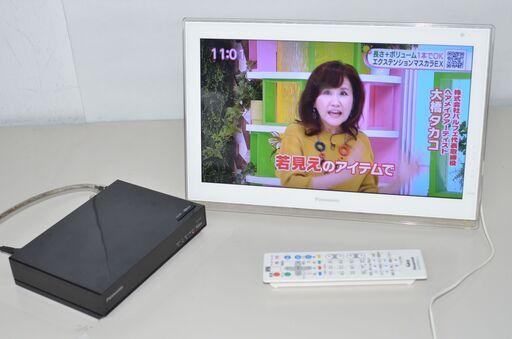 ジャンク品 Panasonic プライベート・ビエラ UN-15E5D UN-E5S