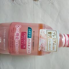 システマハグキプラスプレミアム　　６００ｍｌ