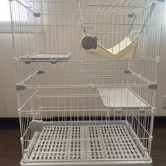 猫　ゲージ