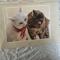 2024年猫びよりカレンダー🐈の画像