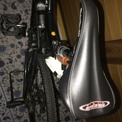 ルイガノ マウンテンバイク 美車の画像