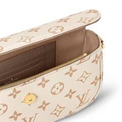 非常に入手困難‼️【日本完売コレクション品 AW2024新作 ルイヴィトン2WAYバッグ】正規品の画像