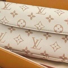 非常に入手困難‼️【日本完売コレクション品 AW2024新作 ルイヴィトン2WAYバッグ】正規品の画像