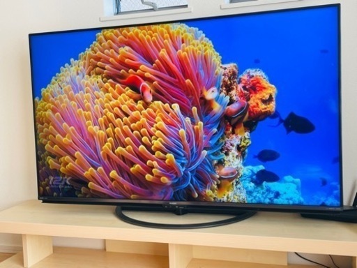 テレビ、テレビ台、ベットフレーム、ソファ