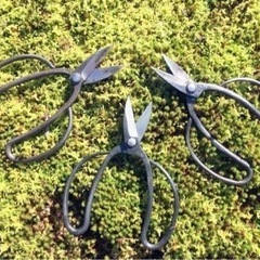 植木屋、アルバイト、正社員、一人親方募集