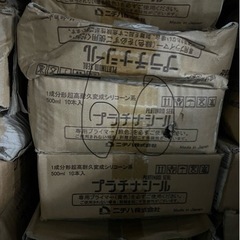 引き取り可能な方の画像