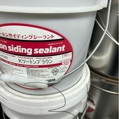 引き取り可能な方の画像